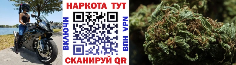 Наркотические вещества Терек Канабис  МЕФ  А ПВП  omg вход  Амфетамин  Псилоцибиновые грибы  Кокаин  Гашиш 