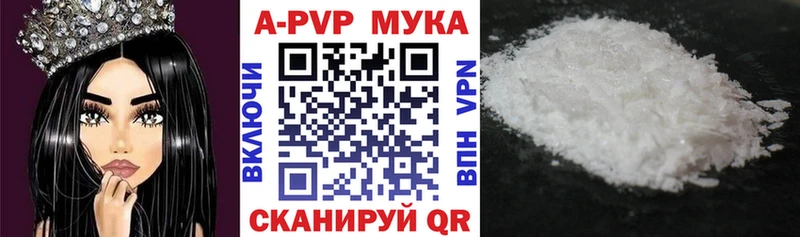 Alfa_PVP крисы CK  Терек 