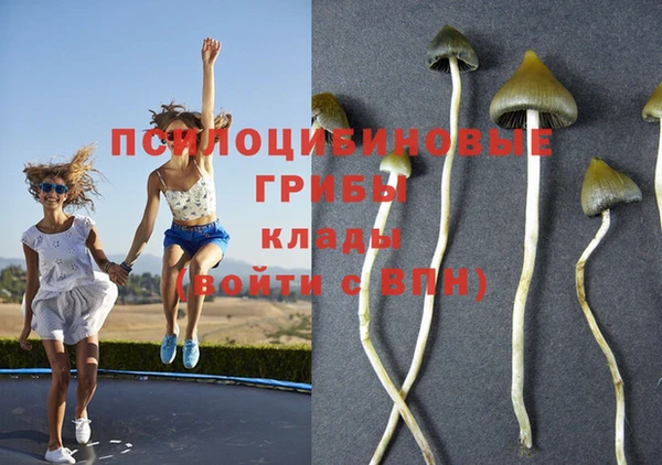марки lsd Абаза