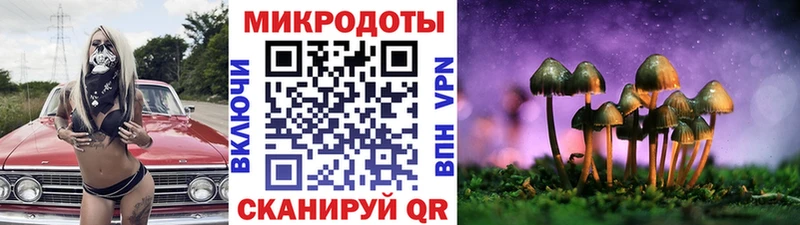 Галлюциногенные грибы GOLDEN TEACHER Терек